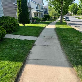 yard service by TS LAWN CARE LLC reviewed on August 15, 2025