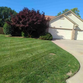 lawn service by Aguilar Landscaping  reviewed on August 20, 2025