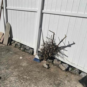 Bush Trimming by Babcock Enterprises LLC reviewed on October 21, 2025