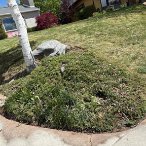 Flower Bed Weeding by Fresh cut lawn care and snow removal reviewed on April 23, 2026