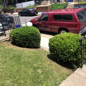 Bush Trimming by Sons bros and I lawn service reviewed on May 11, 2023