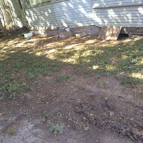 Bush Trimming by Master of landscape reviewed on August 16, 2024