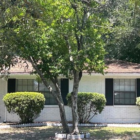 Bush Trimming by Guardian Lawn & Landscape reviewed on August 16, 2025