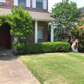 Bush Trimming by Court Landscaping reviewed on March 13, 2024