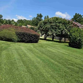 residential landscaping by Marty's Landscaping reviewed on November 20, 2025