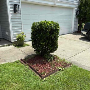Bush Trimming by GE Lawn Care reviewed on August 16, 2025