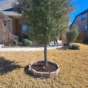 Mulching by Coqui Lawn Care Services reviewed on January 21, 2026