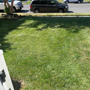 landscape maintenance by Cooper’s Lawn & Landscape LLC reviewed on August 19, 2025