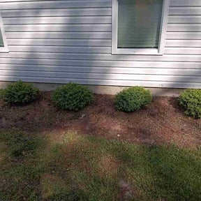 Flower Bed Weeding by Stack Lawn Care and More LLC reviewed on April 22, 2026