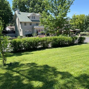 Bush Trimming by RNR Landscaping reviewed on April 22, 2023