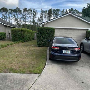 Bush Trimming by WhyExperts LLC reviewed on August 18, 2025