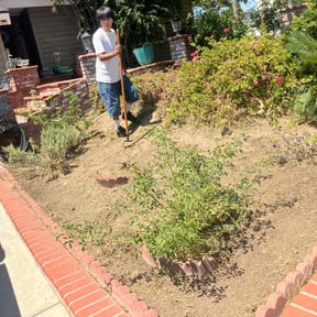 Flower Bed Weeding by Payne Brothers Lawn Services,Llc reviewed on October 18, 2025