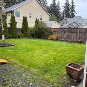 yard care by sarek landscaping and more.... reviewed on November 23, 2025