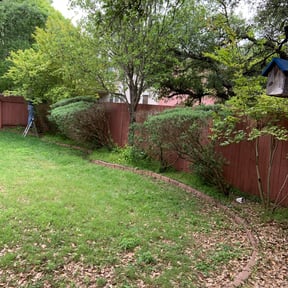 Bush Trimming by JH Custom Landscaping reviewed on July 26, 2025