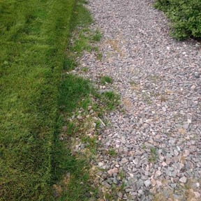 Flower Bed Weeding by Iroc's Lawn Care reviewed on August 17, 2025