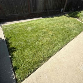 grass maintenance by DC Painters and More reviewed on June 14, 2022