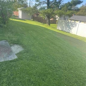 grass maintenance by The guy property maintenance reviewed on October 4, 2023