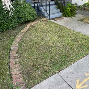 Leaf Removal by Schine&#039;s Lawn Care reviewed on September 9, 2025