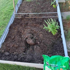 Flower Bed Weeding by Zunigas Green Care LLC reviewed on November 8, 2025