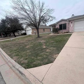 Leaf Removal by Home Care by The Beach LLC reviewed on March 24, 2026