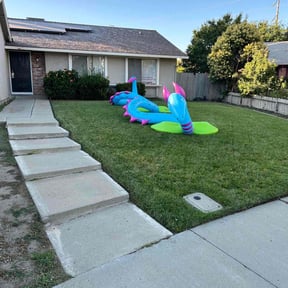 yard care by A Couple of Guys reviewed on August 15, 2025