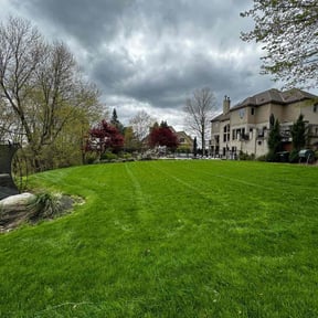 landscaping services by Caldwell Capitals reviewed on August 16, 2025