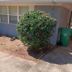 Bush Trimming by Ecoscape Atlanta reviewed on March 25, 2026