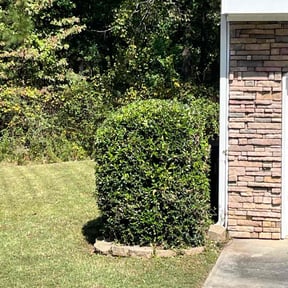 Bush Trimming by Grass Picker Uppers reviewed on November 21, 2025