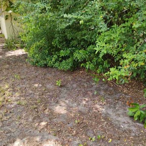 Leaf Removal by Lich Solutions reviewed on August 4, 2026