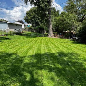 turf care by Landscaping Gomez reviewed on August 21, 2025