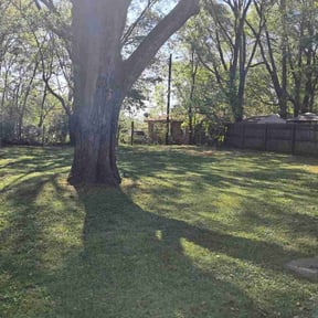 Leaf Removal by Bgreen lawn care reviewed on July 29, 2026