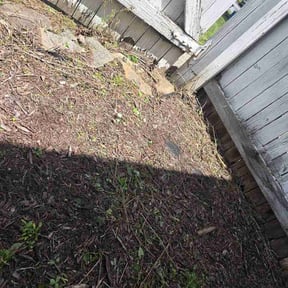 Flower Bed Weeding by Clean Cut Lawn CO. LLC reviewed on July 13, 2026