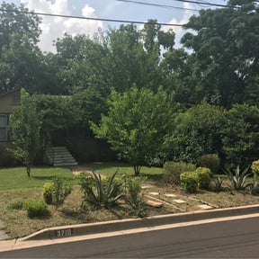 Bush Trimming by nScape’s Lawn Care reviewed on September 7, 2023