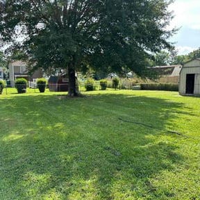 yard care by Ezzy Doest it lawn care services reviewed on August 16, 2025