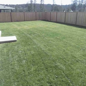 landscaping by D&D Lawn Care reviewed on August 17, 2025