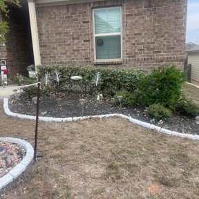 Bush Trimming by Lawn Commander reviewed on January 20, 2026