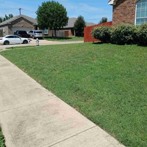residential landscaping by The lawn Service,LLC reviewed on August 15, 2025