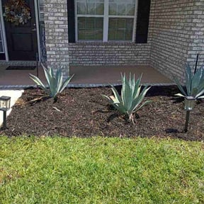 Flower Bed Weeding by Torres lawn care reviewed on May 3, 2026