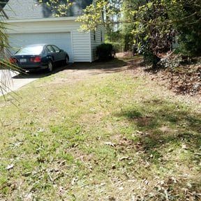 Leaf Removal by Mo Mowing & Yard Clean Up reviewed on August 18, 2025