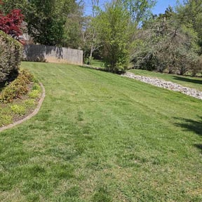 turf care by Rayos landscaping reviewed on May 2, 2024