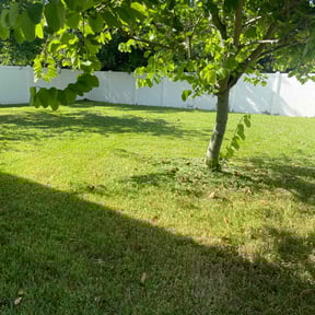 grass cutting by Pro Tek Enterprise LLC reviewed on August 17, 2024