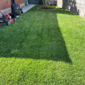 lawn service by Northwest Georgia Outdoor Services reviewed on August 17, 2025