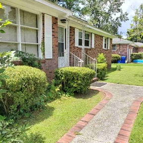 Bush Trimming by Green mile lawncare reviewed on June 17, 2025