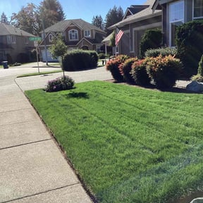 yard maintenance by BBL Services reviewed on August 18, 2025