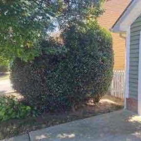 Bush Trimming by Imperial Lawn Care reviewed on November 20, 2025
