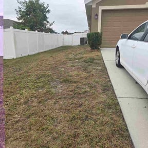 Bush Trimming by Lawnsbylex reviewed on December 18, 2025