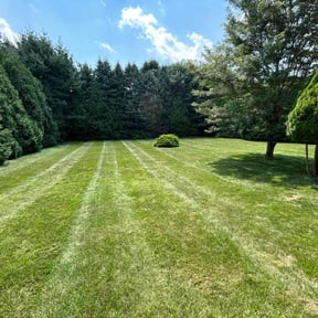 yard work by A+ Services Home & Lawn LLC reviewed on August 15, 2025