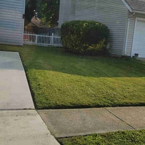 Bush Trimming by Pure Perfection Lawn care reviewed on August 14, 2025