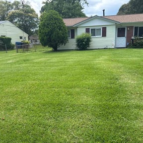 yard maintenance by Najera lawn service reviewed on August 18, 2025