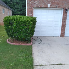 Bush Trimming by M&j lawn & handyman service reviewed on August 18, 2025